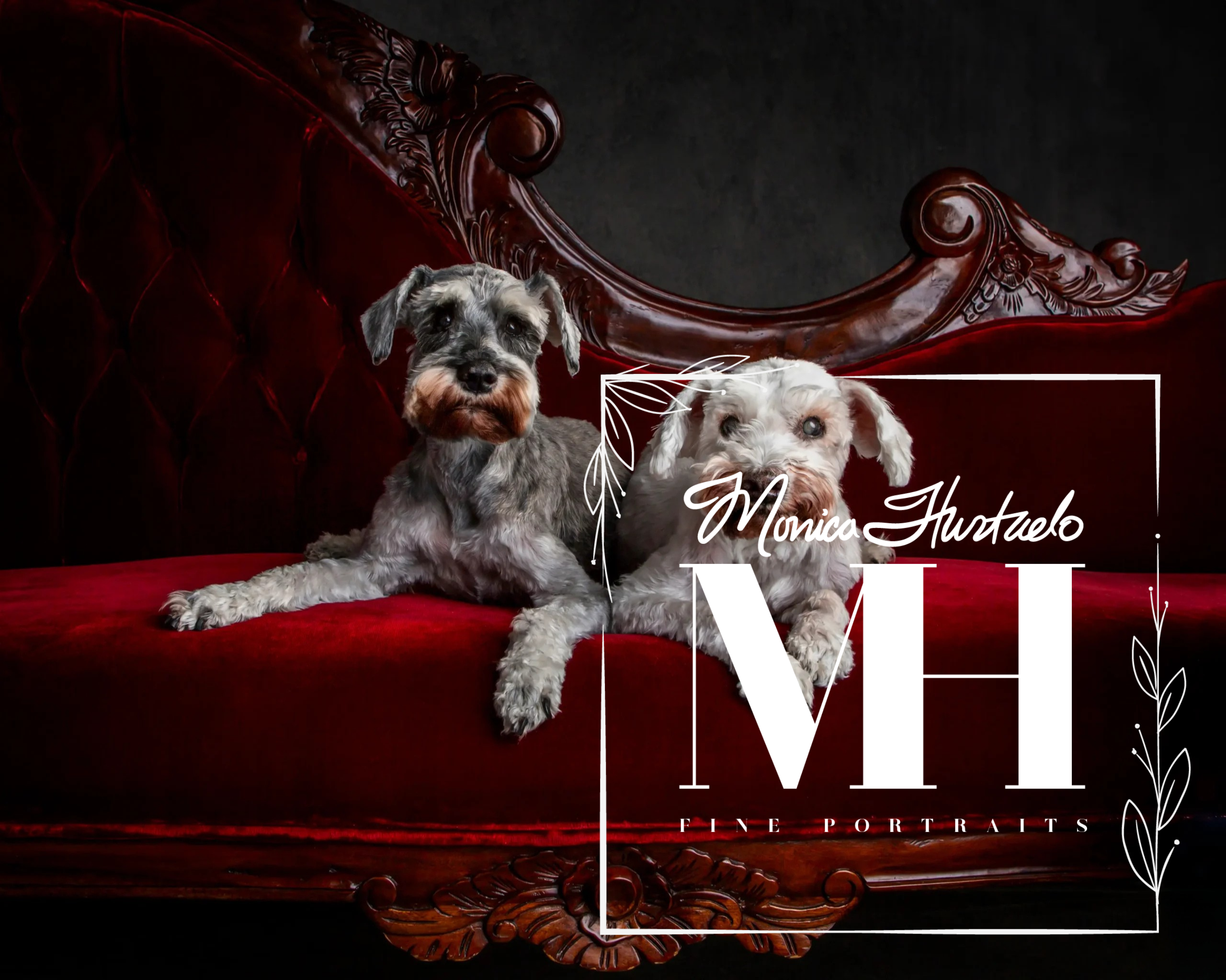 Pet Portraits