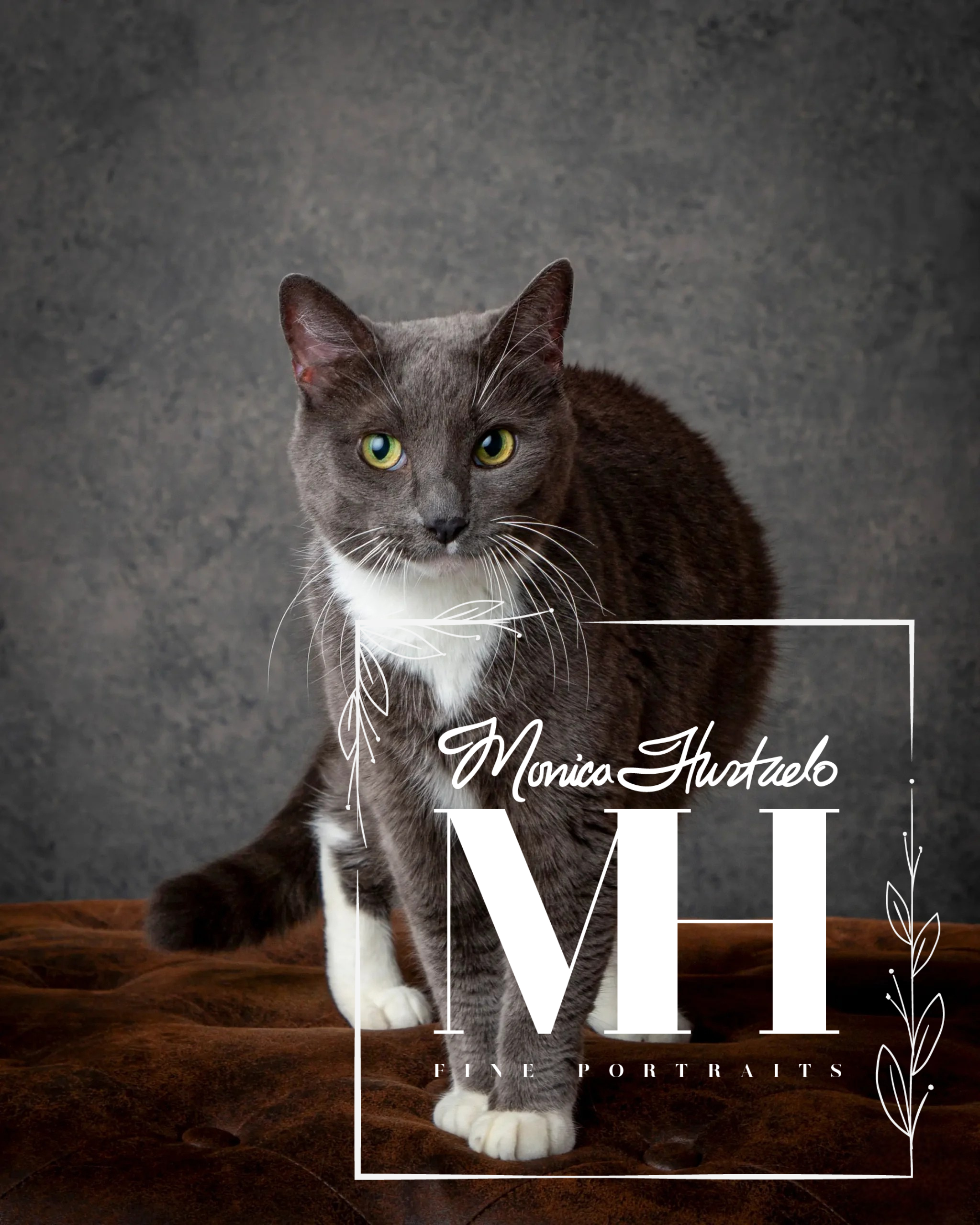 Pet Portraits