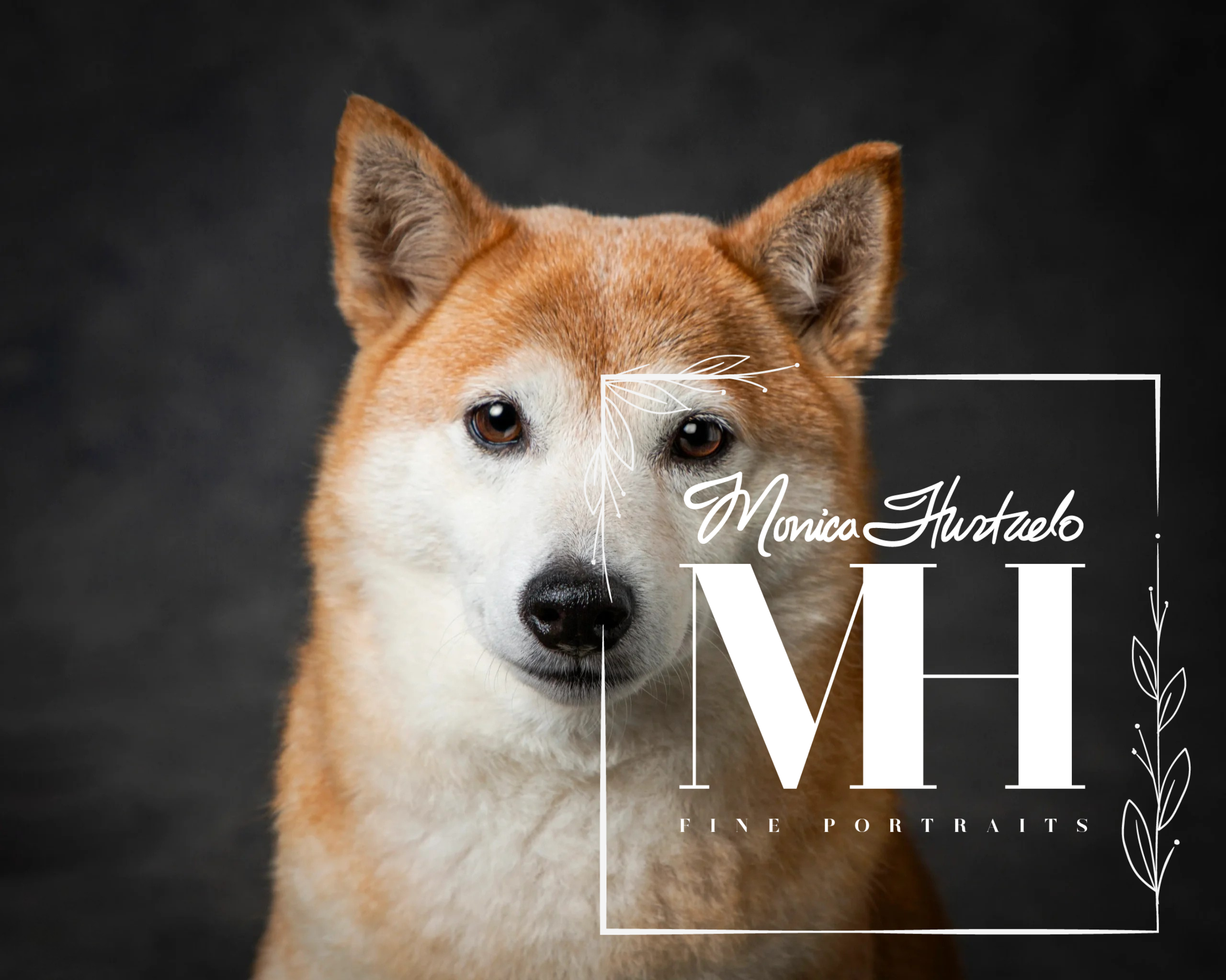 Pet Portraits