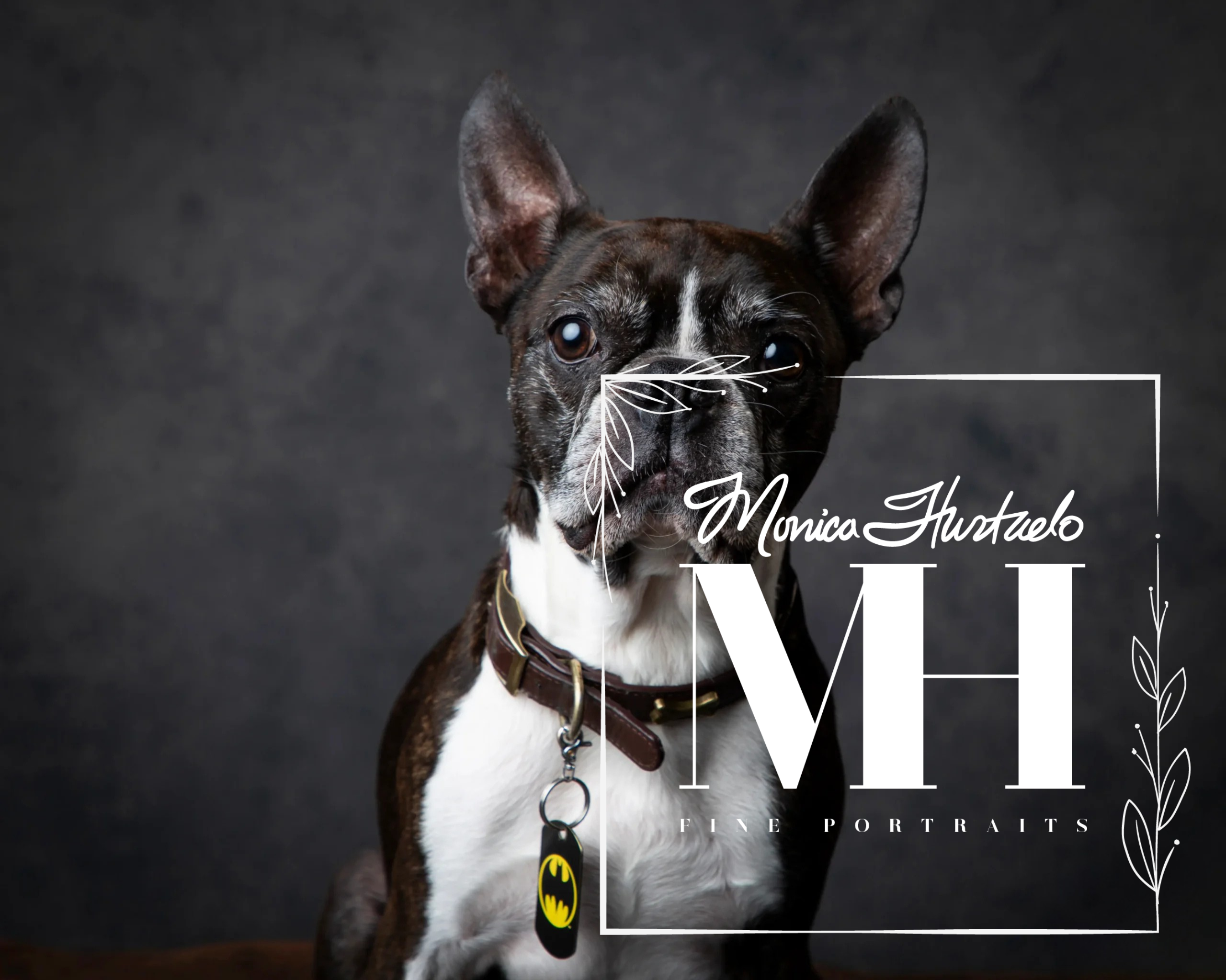 Pet Portraits