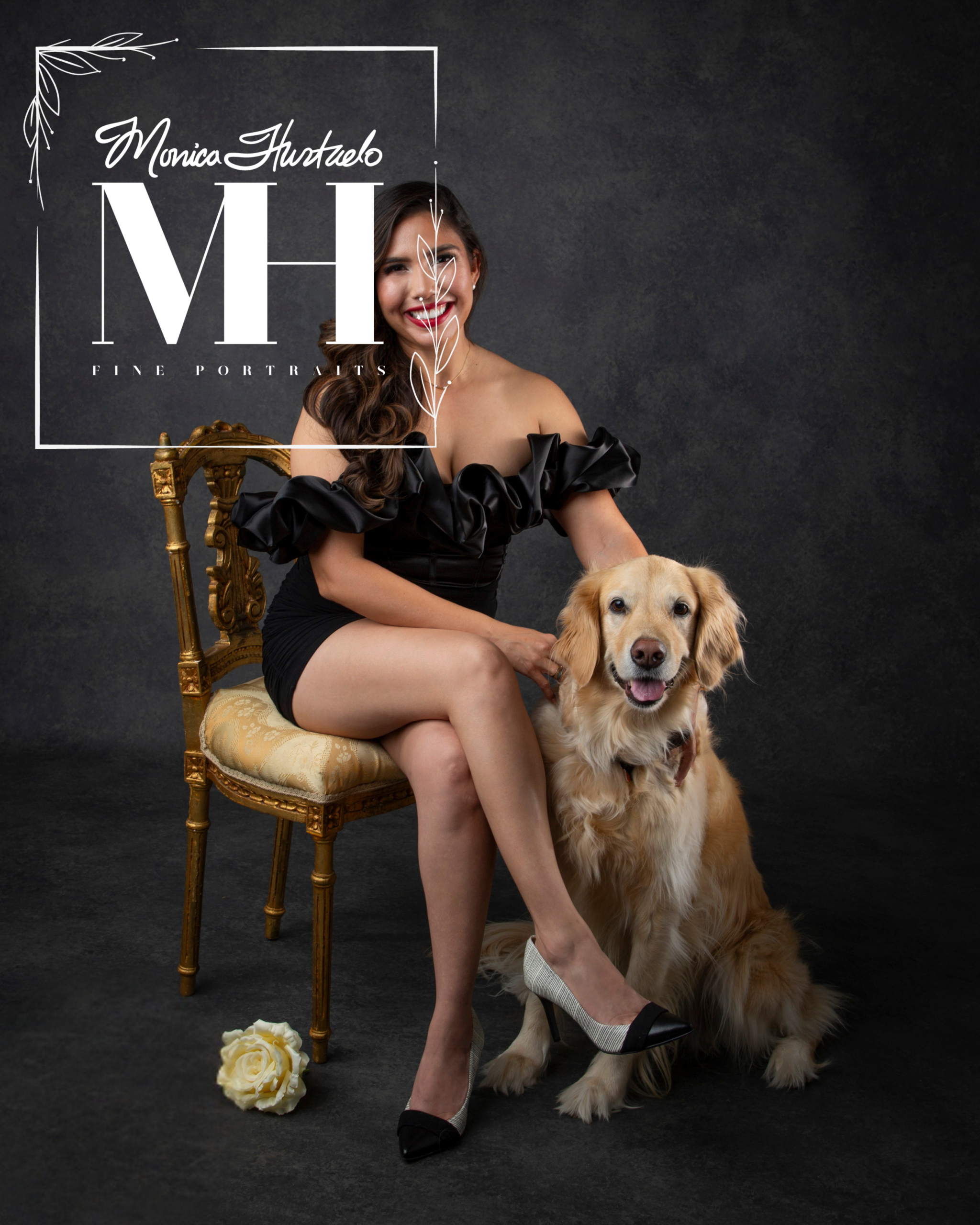 Pet Portraits