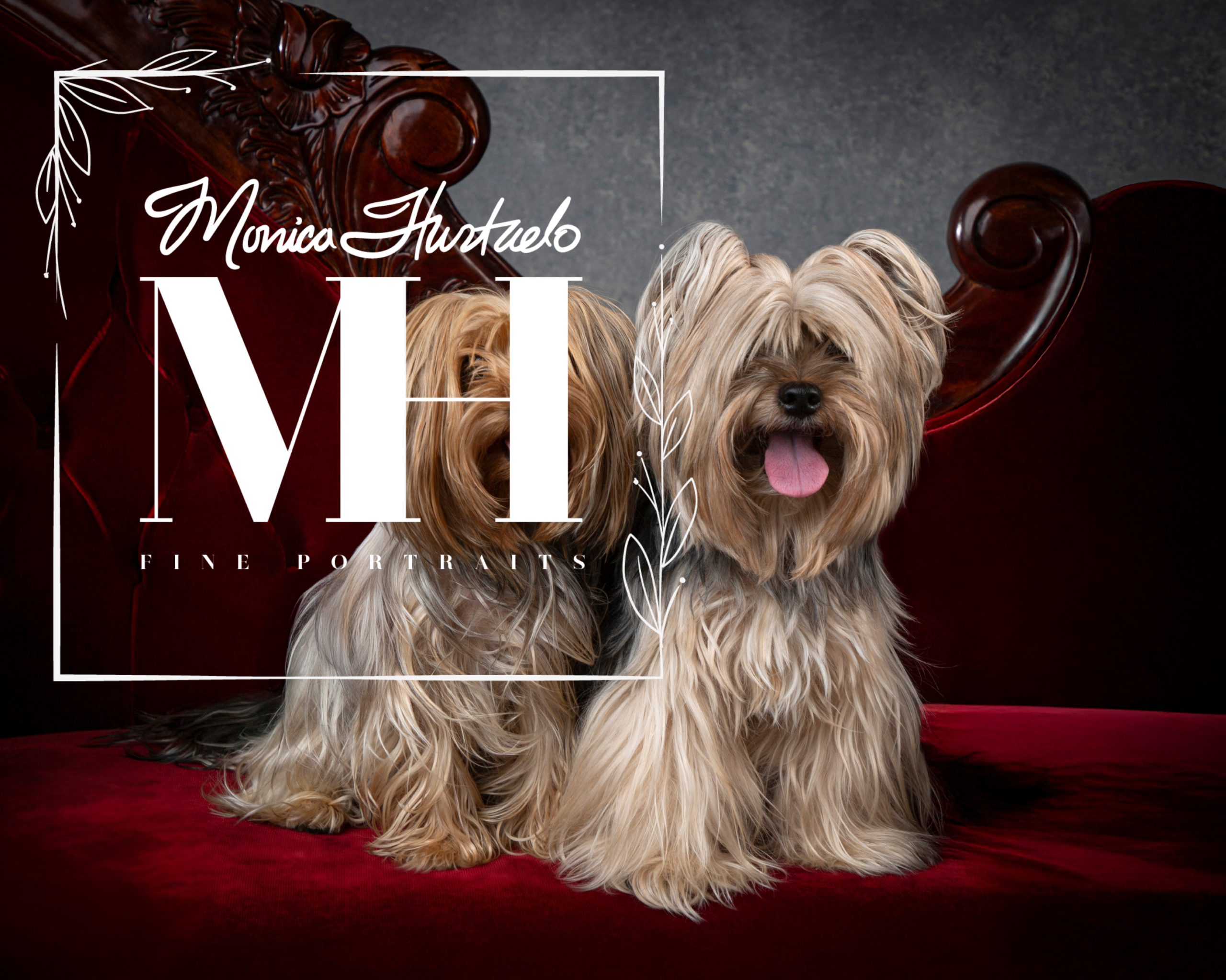 Pet Portraits