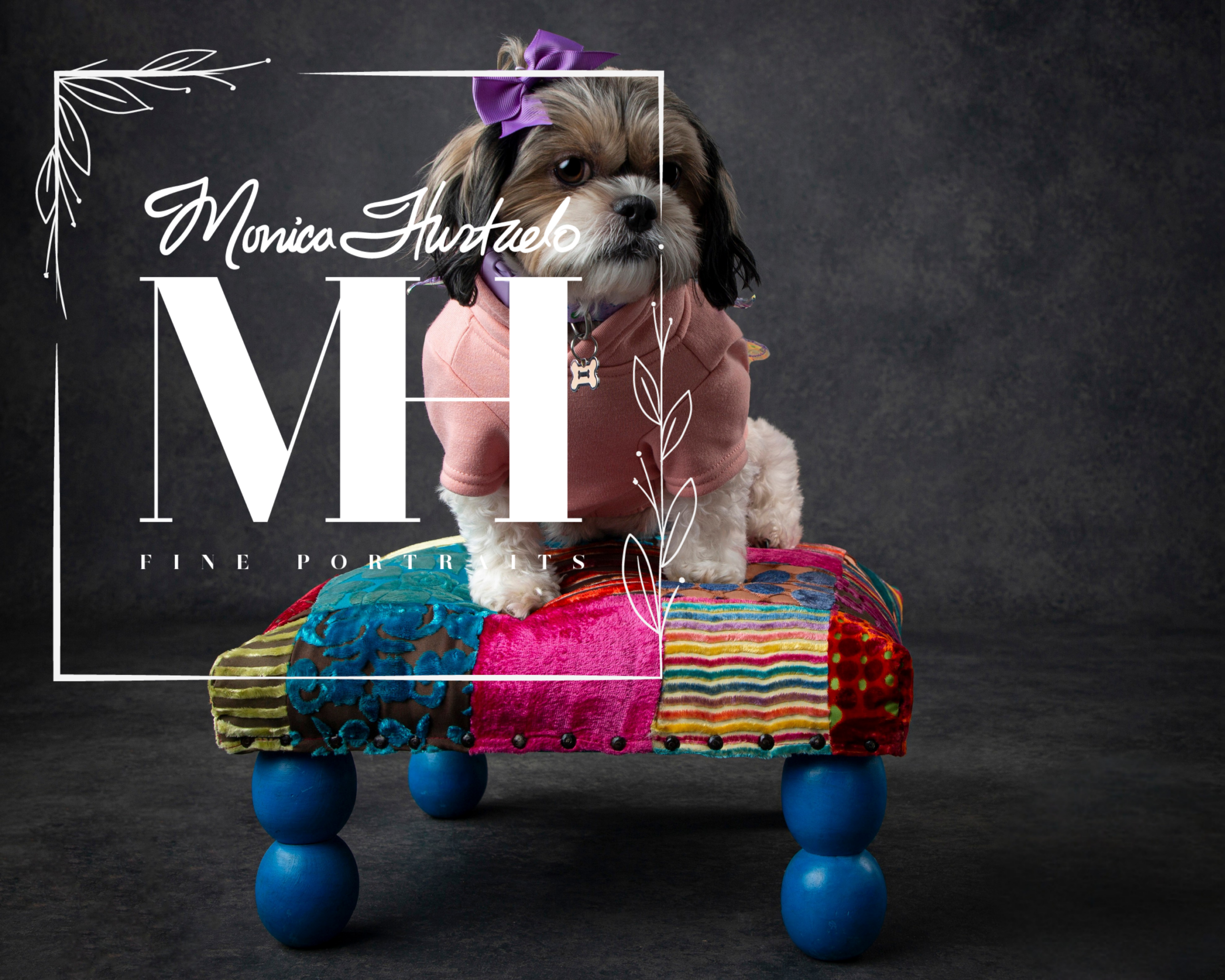 Pet Portraits