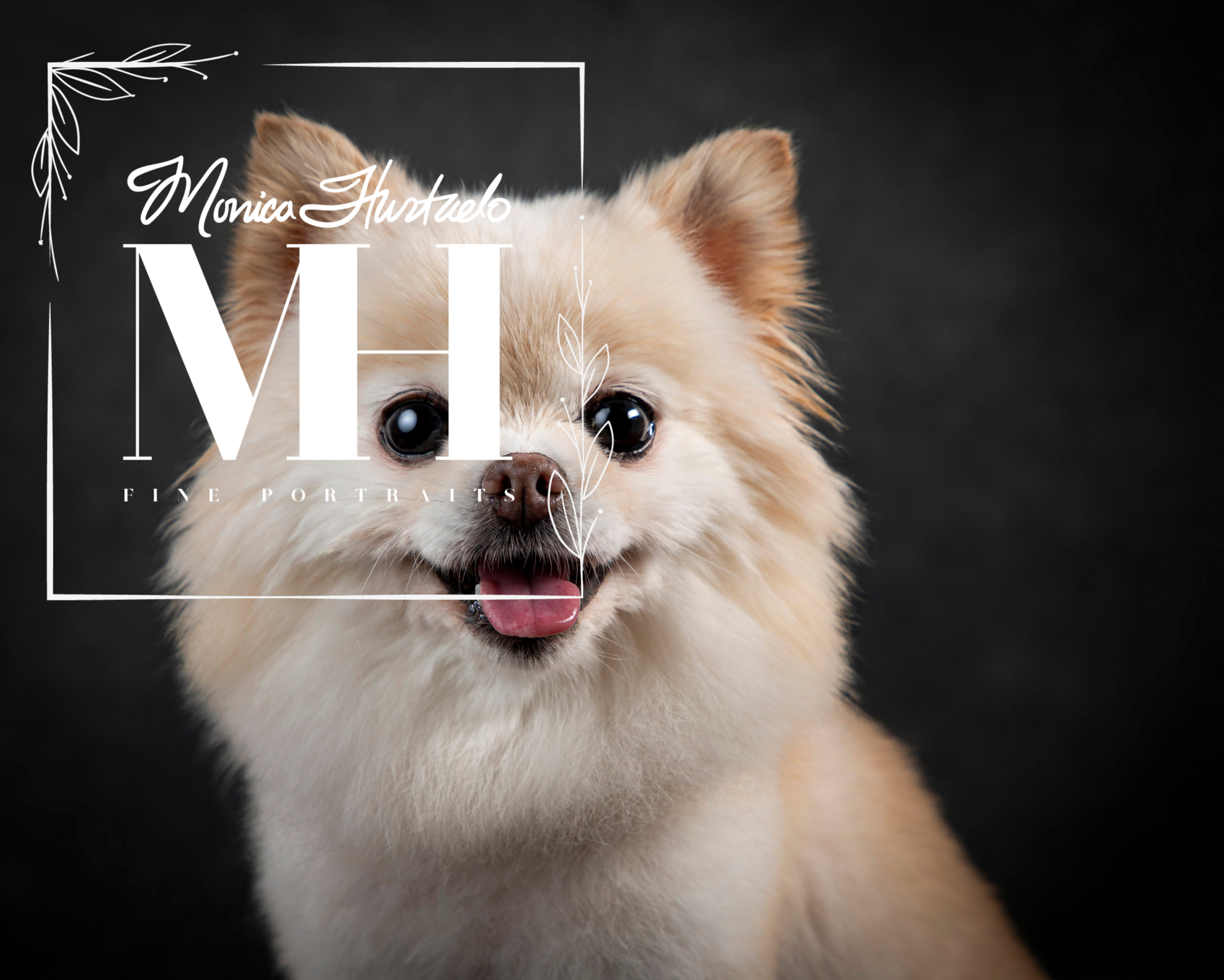 Pet Portraits