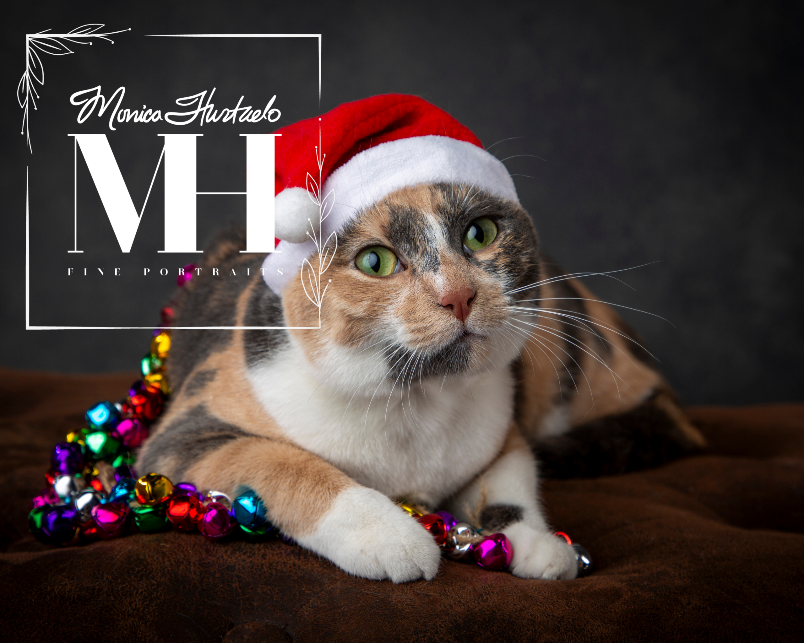 Pet Portraits