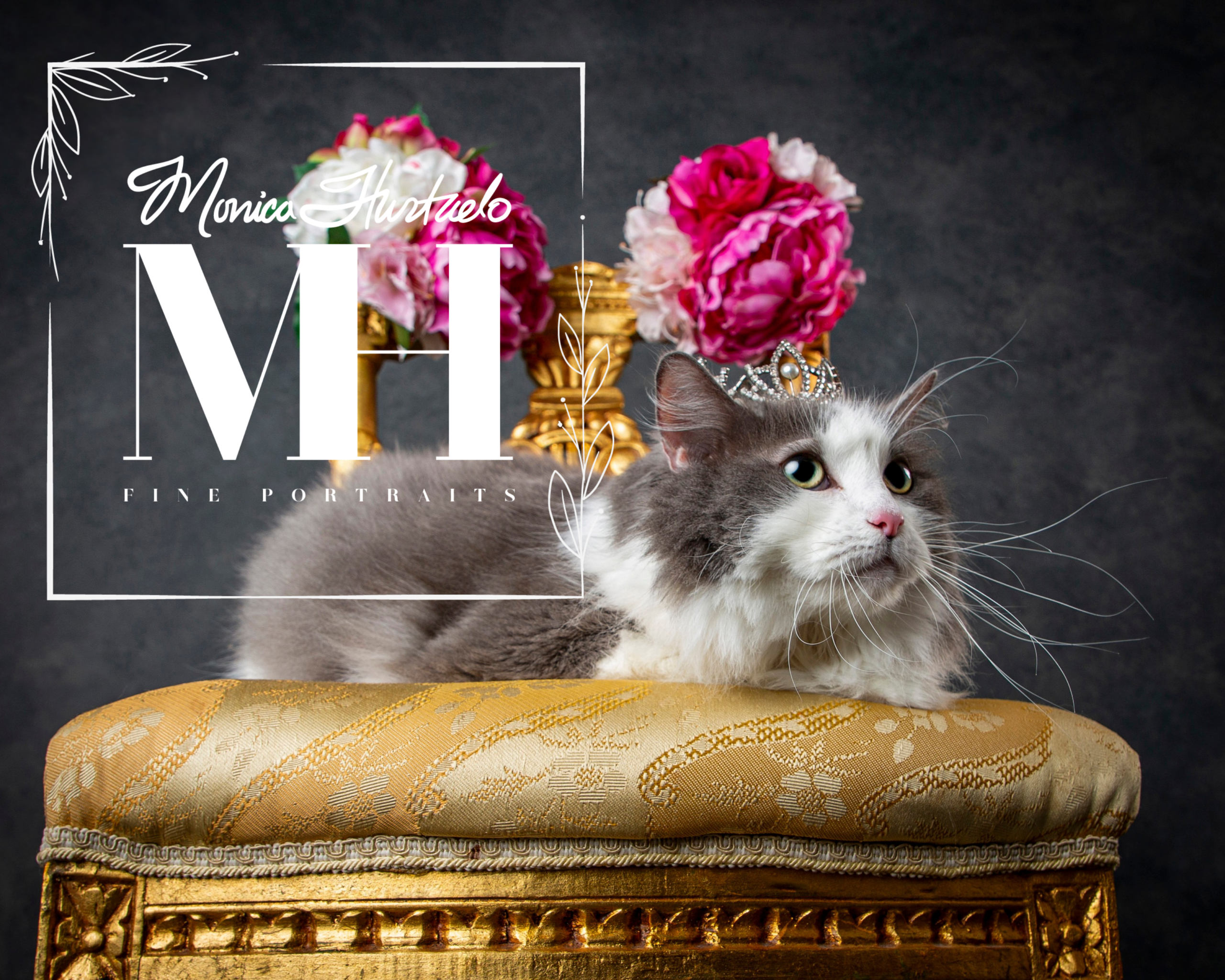 Pet Portraits