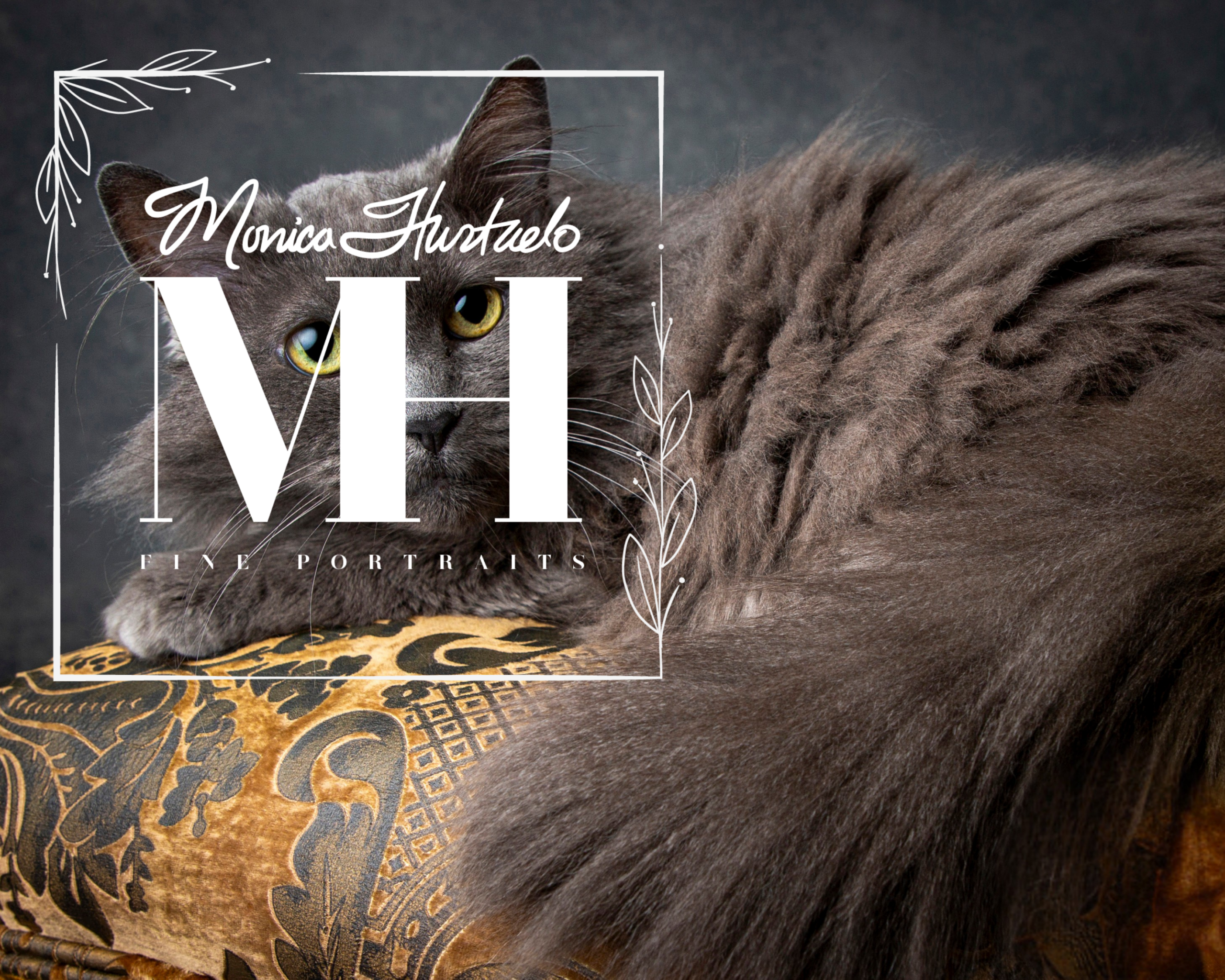 Pet Portraits